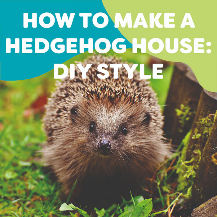 How to Make a Hedgehog House