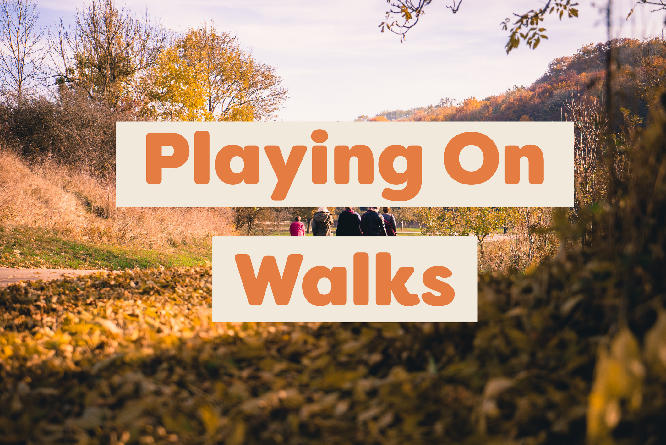 Free Winter Activities: Playing On Walks
