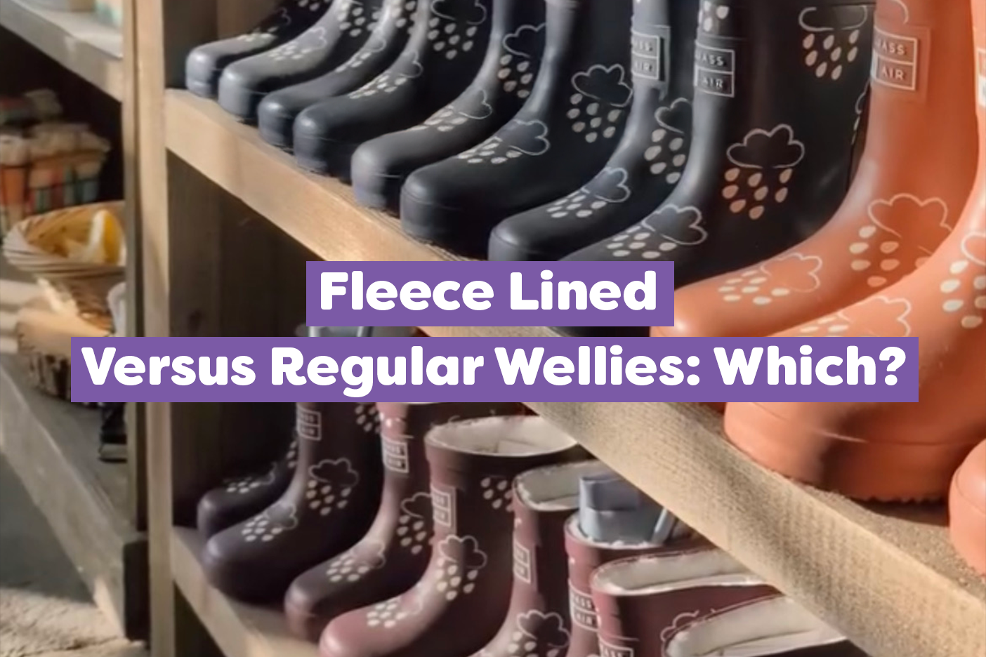 Fleece Lined Versus Regular Wellies: Which?