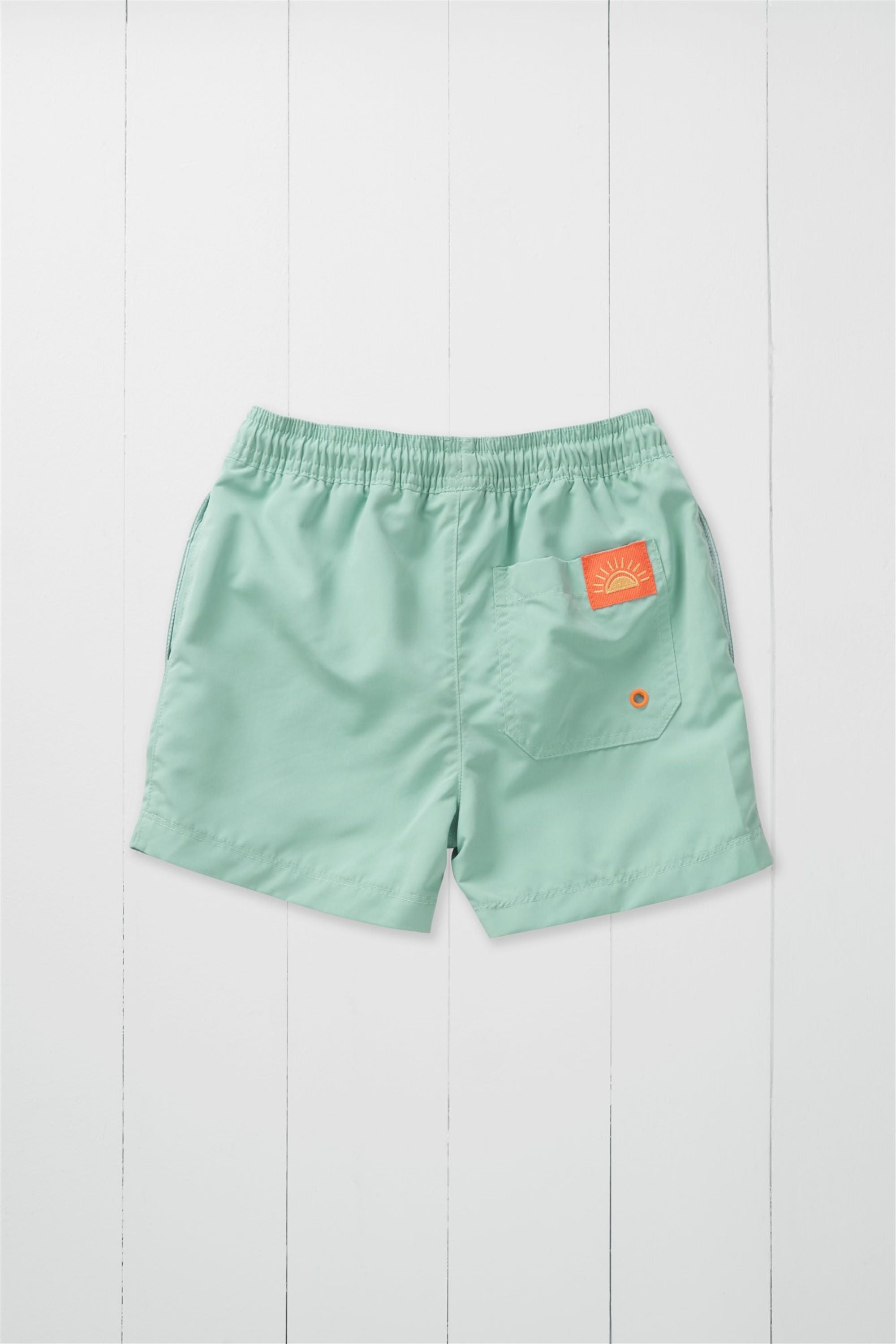 Pistachio Swim Shorts