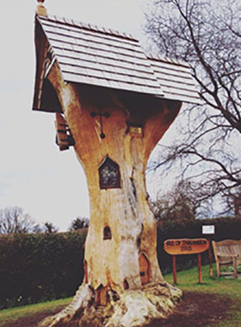 tree-of-imagination